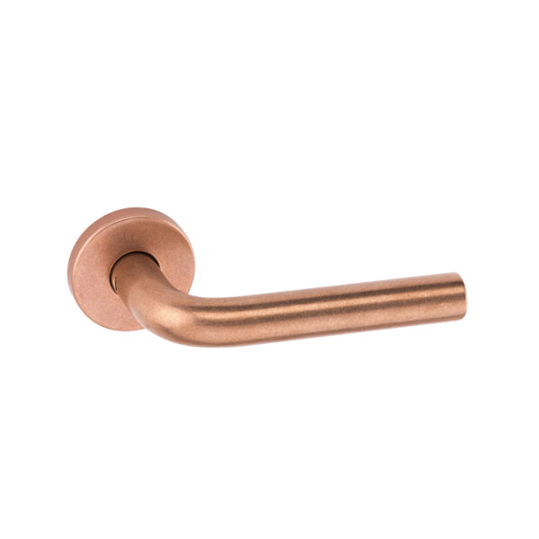 BZ.00.028.RB08M - 1 MANILLA DE PUERTA CON ROSETA ANTI-BACTERIAL