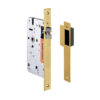 IN.20.897.60.TG - 1 CERRADURA DE EMBUTIR DE PASO